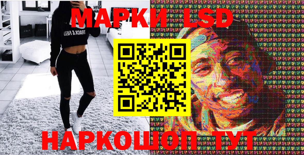 МЕФ Сунжа