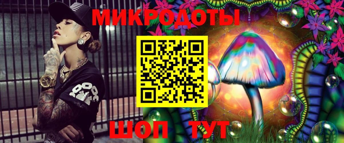 Сунжа  Псилоцибиновые грибы Psilocybe  Вход с VPN 